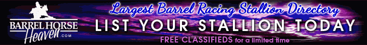 Barrel Horse Heaven Stallion Listings