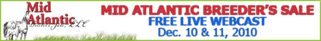 Mid Atlantic Breeders Sale