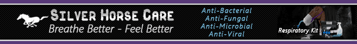 Silver Horse Care